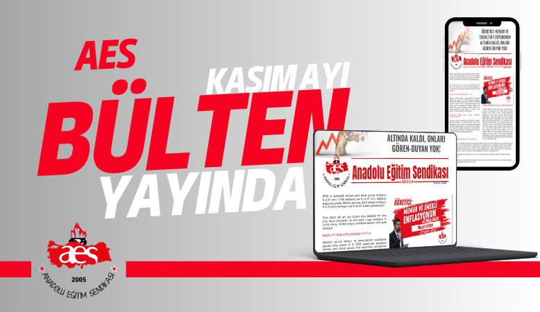 AES KASIM AYI BÜLTENİ YAYINLANDI